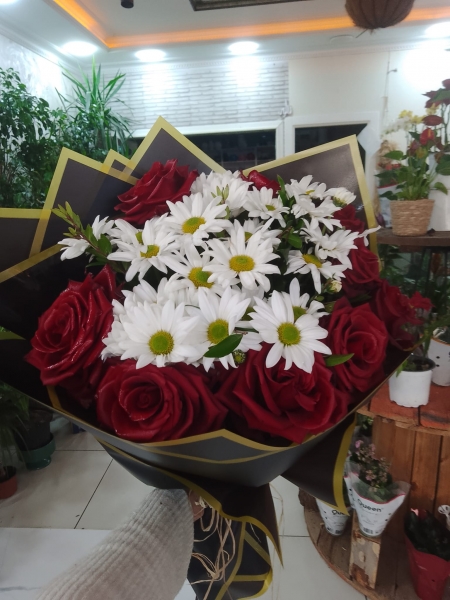 Gül ve Papatya Uyumu 