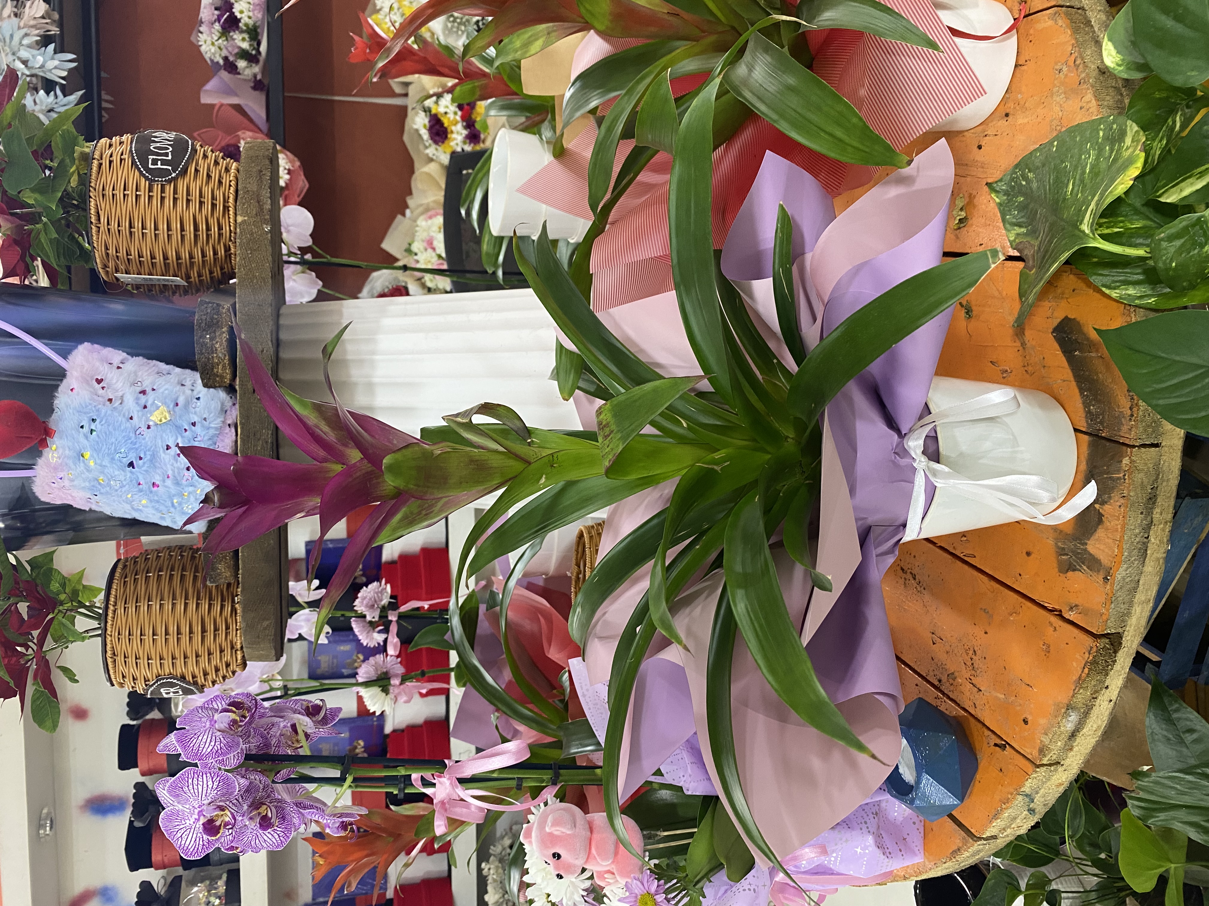 İthal Dekoratif Guzmania 